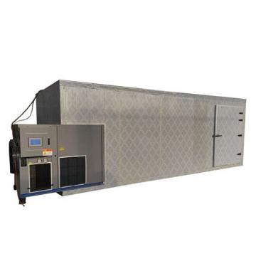 Commercial Fruit Drying Machine Manufacturer