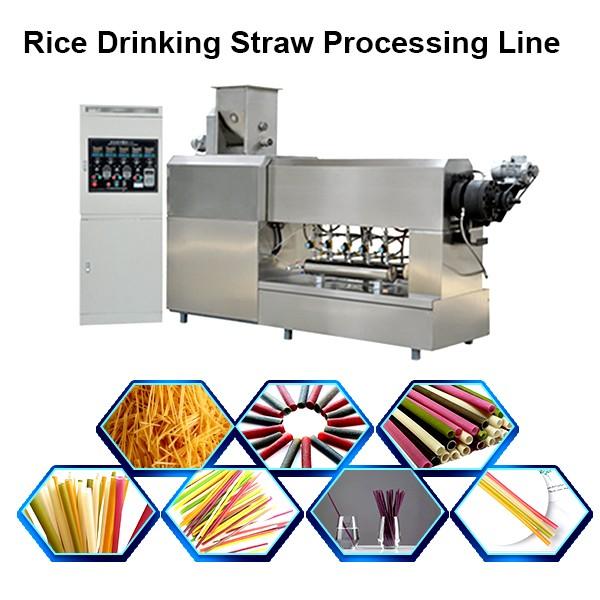 High Quality Eco Friendly Disposable Rice Straw Making Machine Manufacturer Price