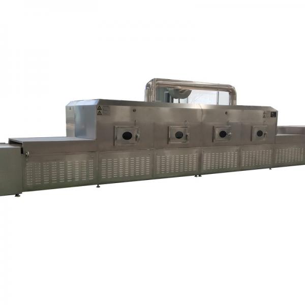 Large Industrial Continuous Microwave Conveyor Belt Microwave Drying Machine