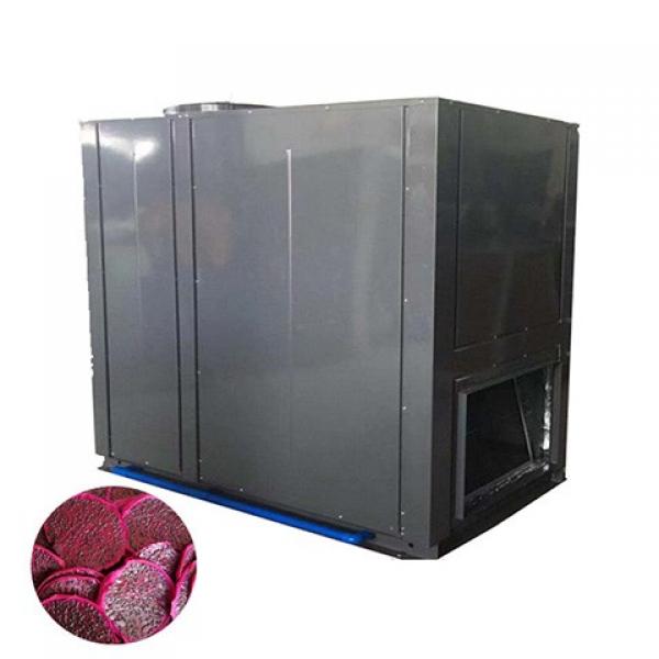 Commercial Vegetable Food Dehydration Equipment for Sale