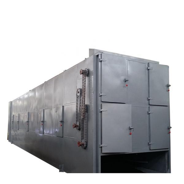 1000-3000pounds/H Automati Cbd Hemp Dryer Mesh Belt Continuous Dryer