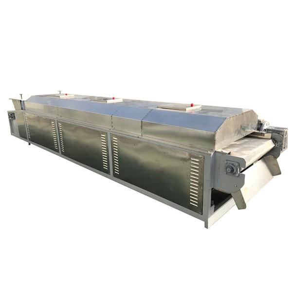 Stainless Steel Continuous Food Fruit Vegetable Chips Belt Mesh Dryer