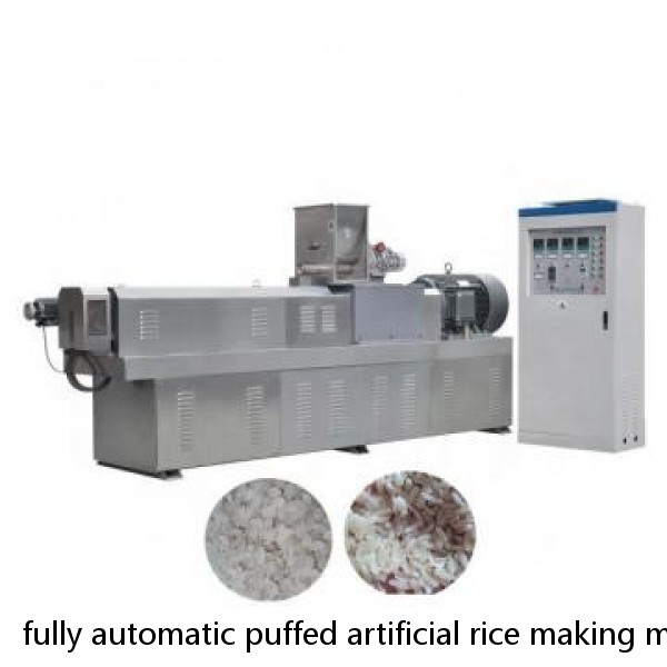 fully automatic puffed artificial rice making machine with best price